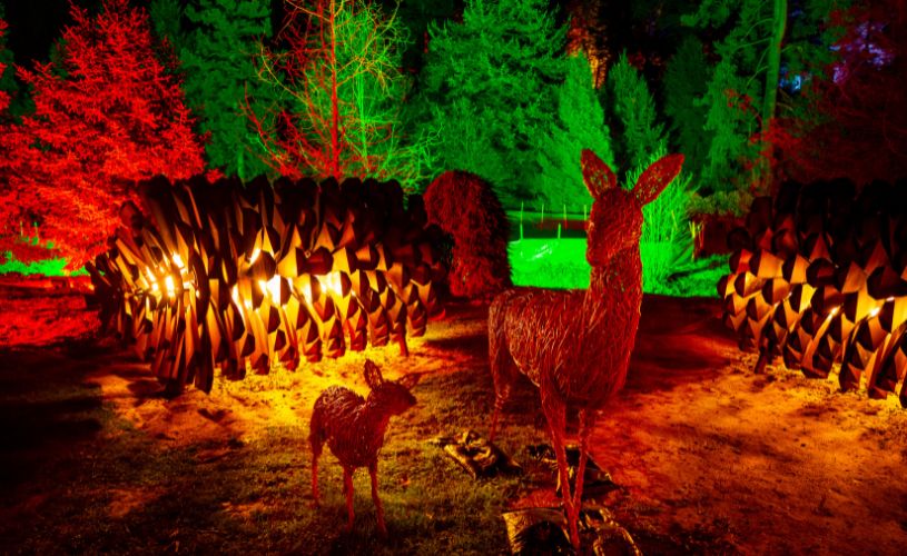 Christmas at Westonbirt